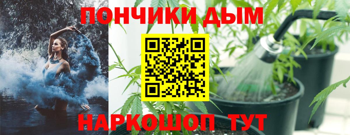 Марихуана сатива Новоуральск